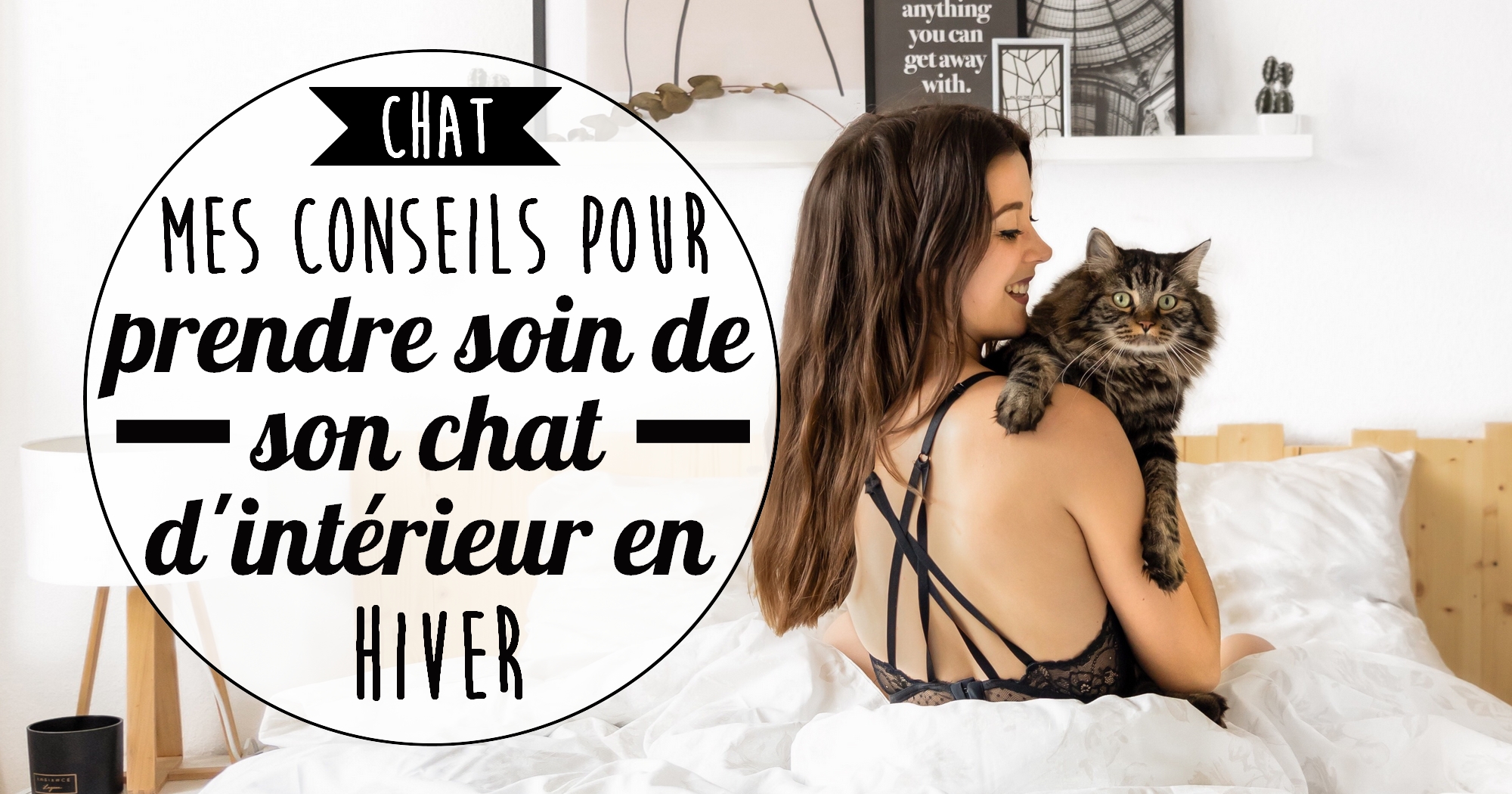 Mes conseils pour prendre soin de son chat d’intérieur en hiver