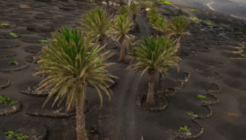 Visiter Lanzarote en une semaine : itinéraire, bonnes adresses et excursions incontournables  